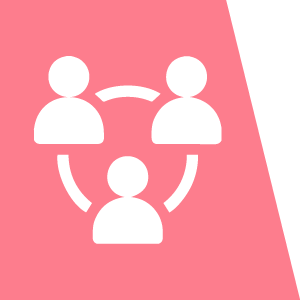 Tipo de organización: Movimiento social